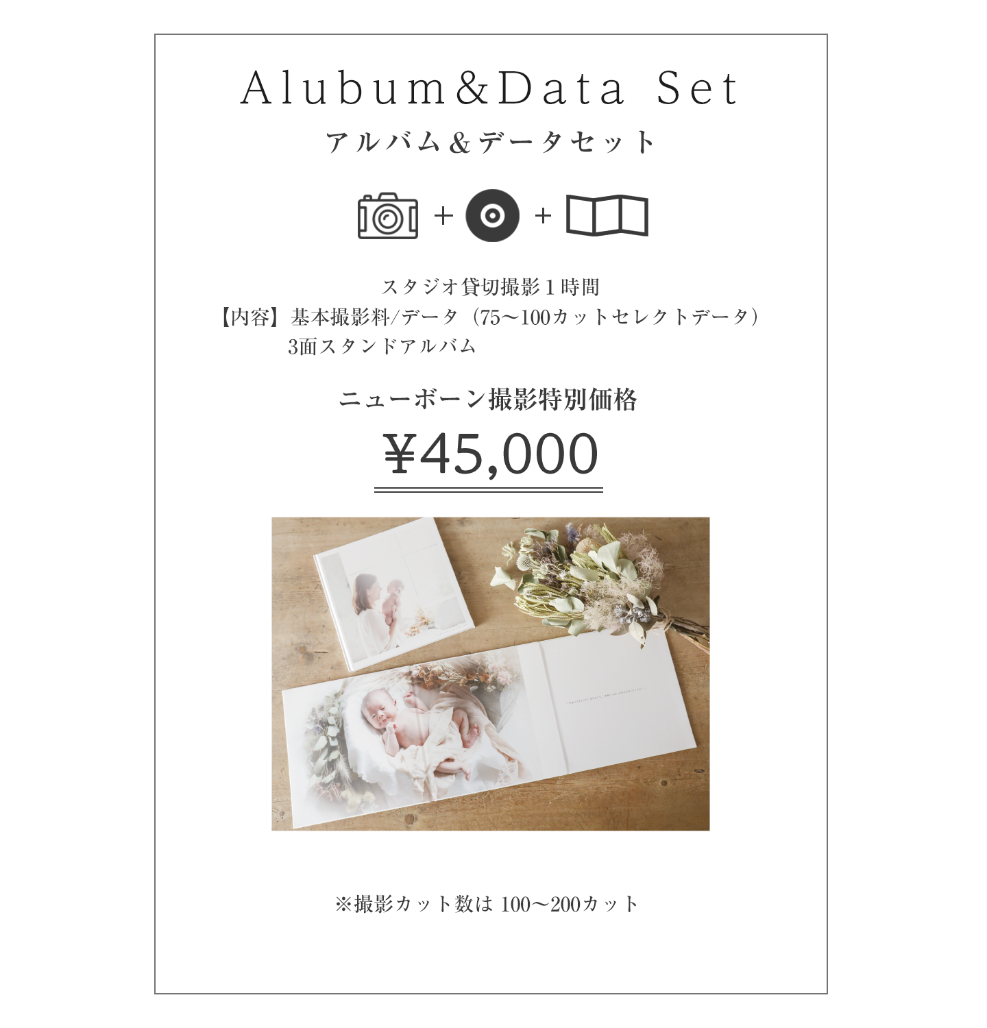 アルバムデータプラン