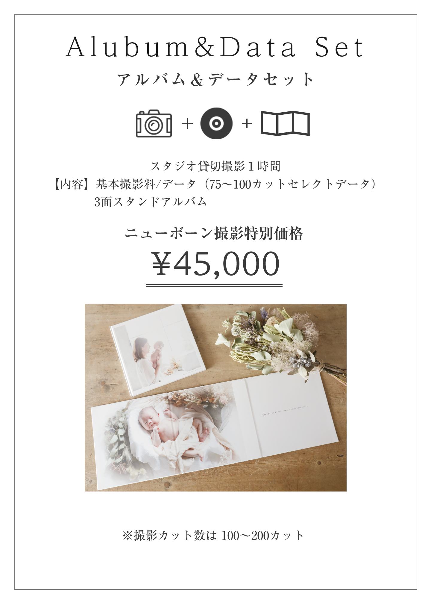 アルバムデータプラン